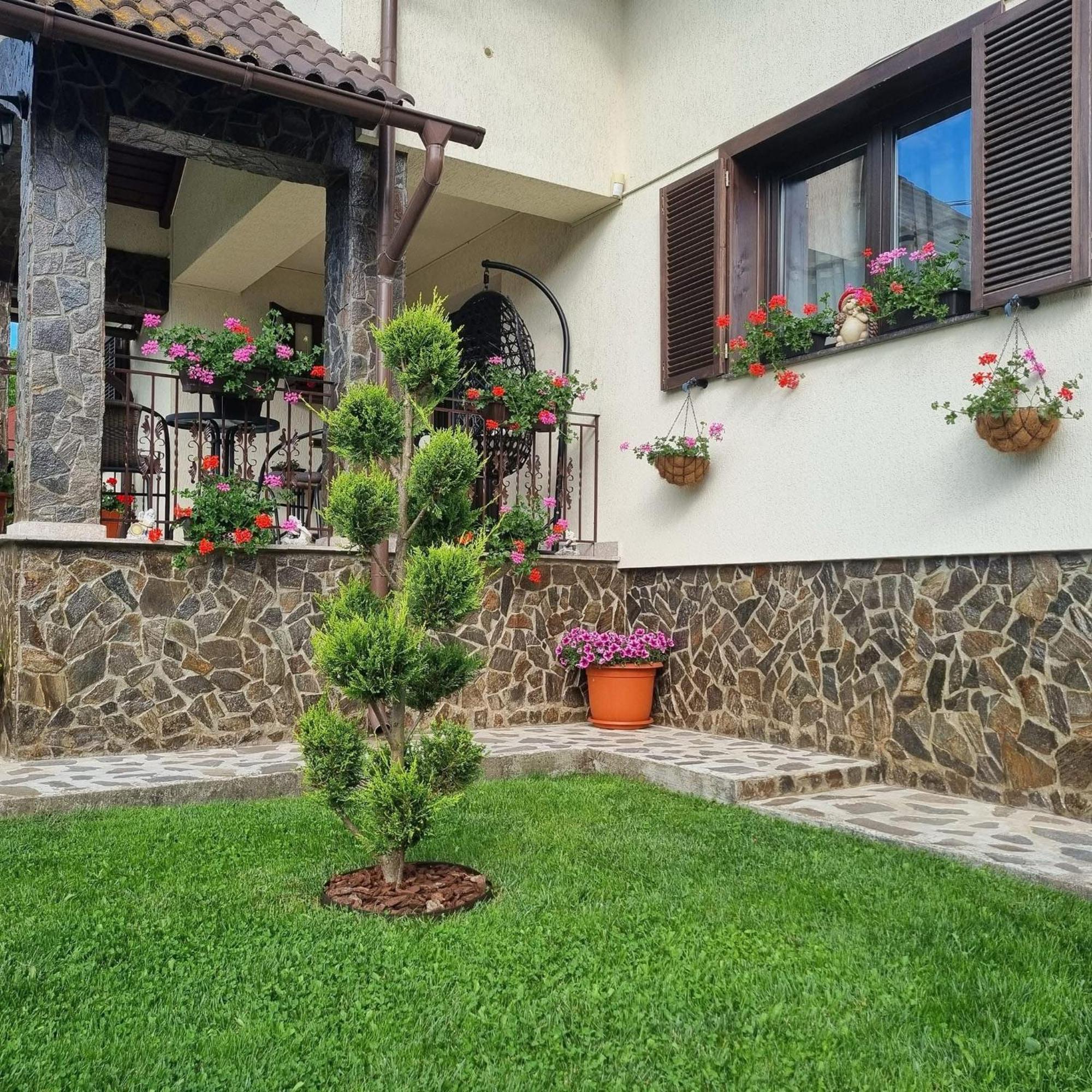 Pensiunea Select Curtea De Arges Bagian luar foto