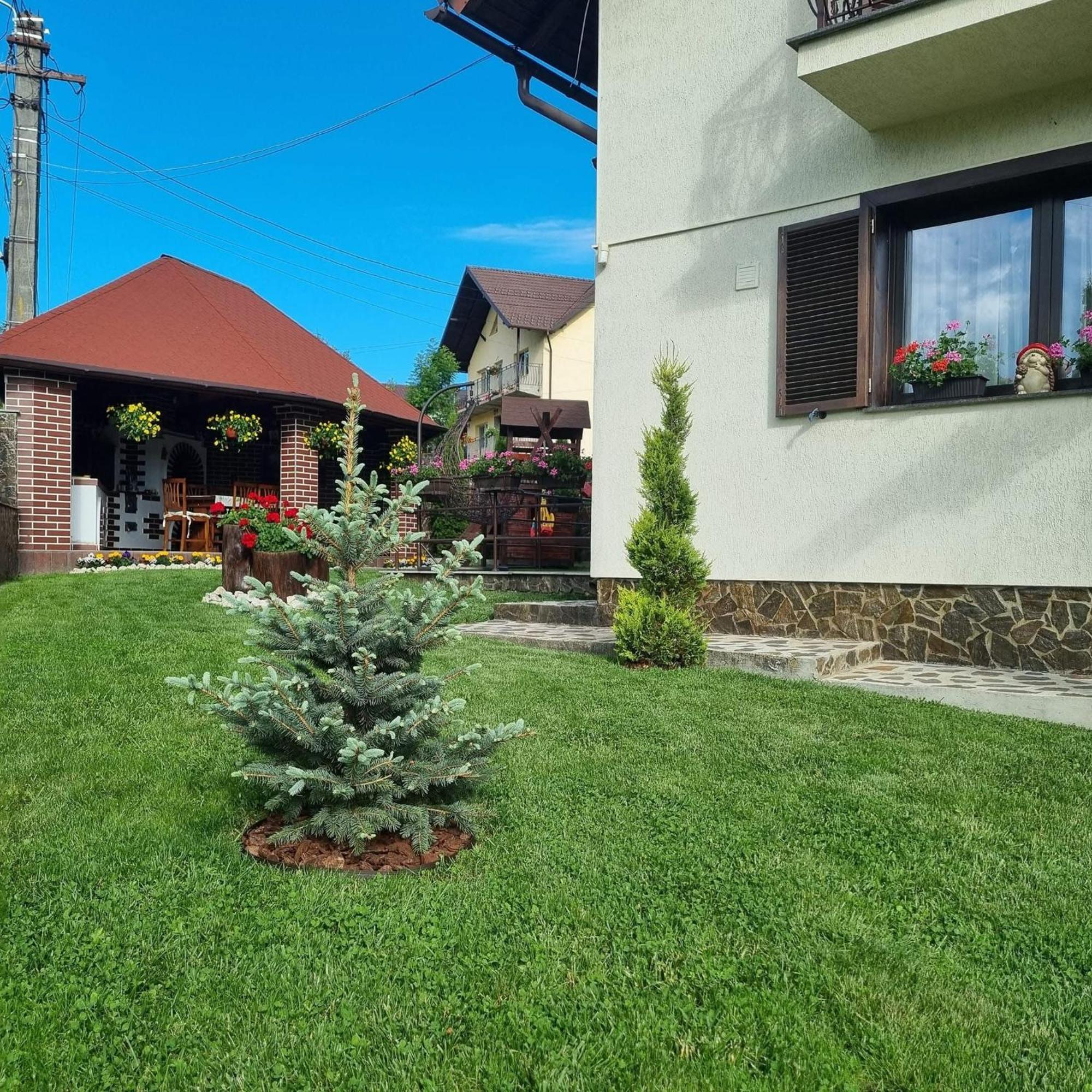 Pensiunea Select Curtea De Arges Bagian luar foto