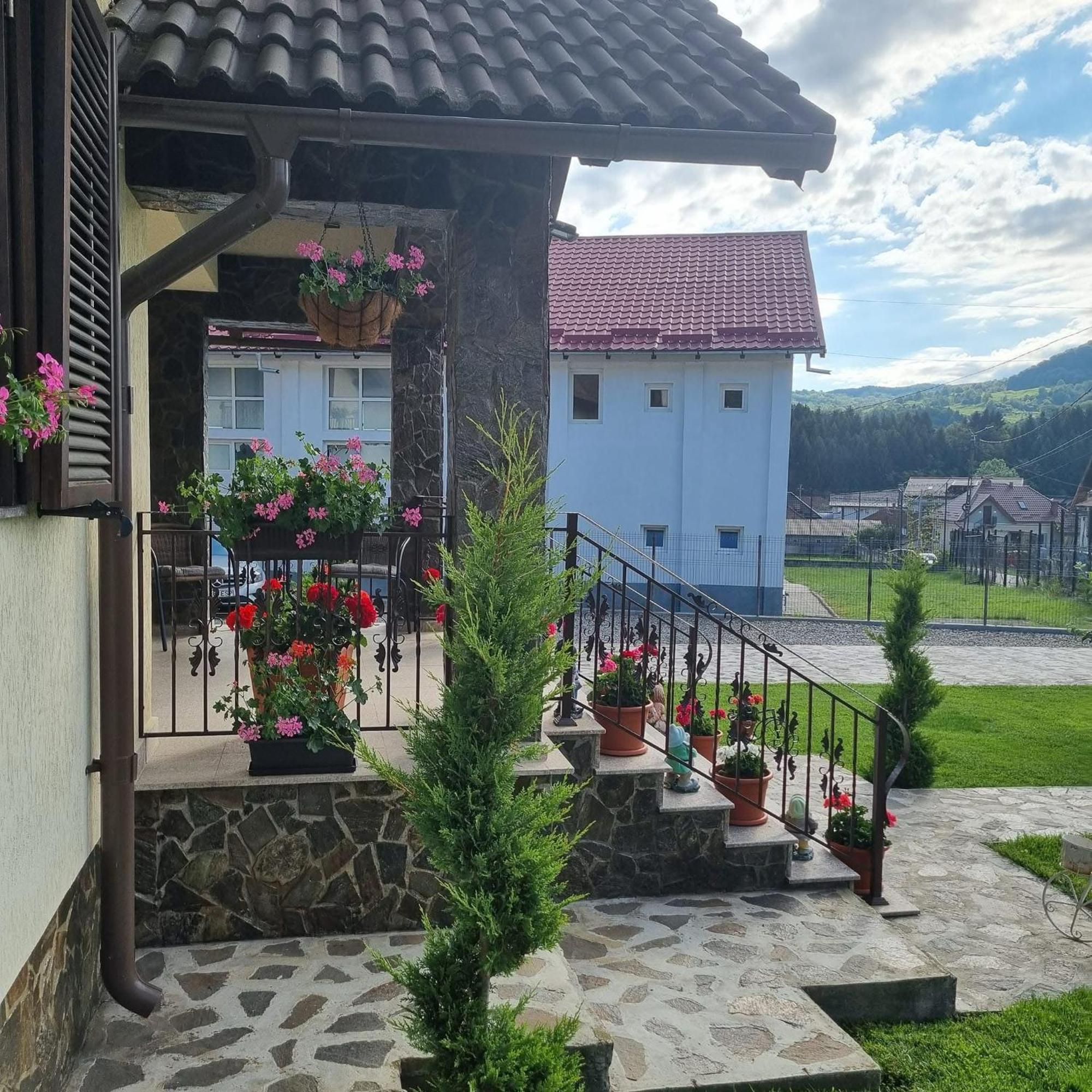 Pensiunea Select Curtea De Arges Bagian luar foto